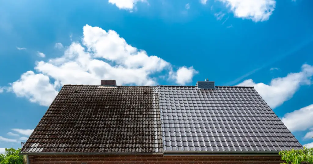 Roof cleaning