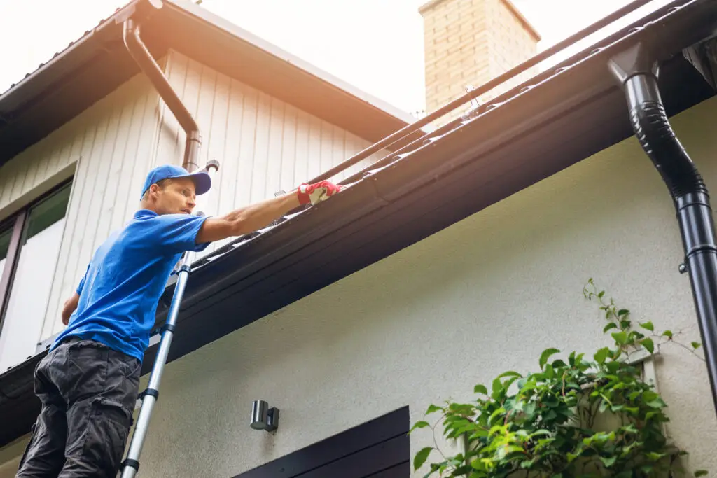 Gutter cleaning near me